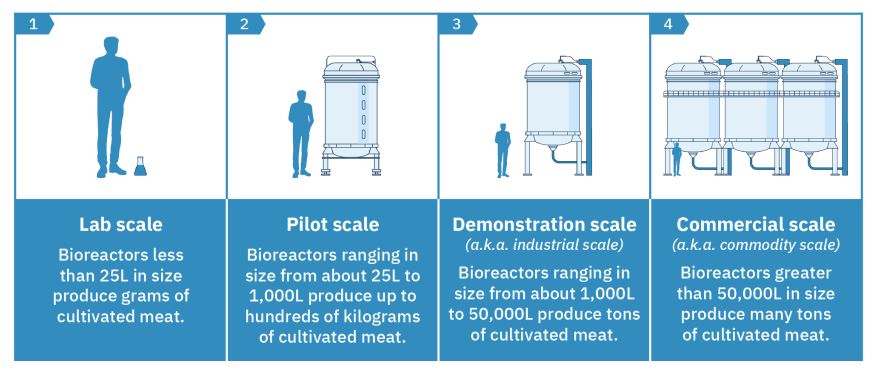 carne-artificial-fabricacion-1