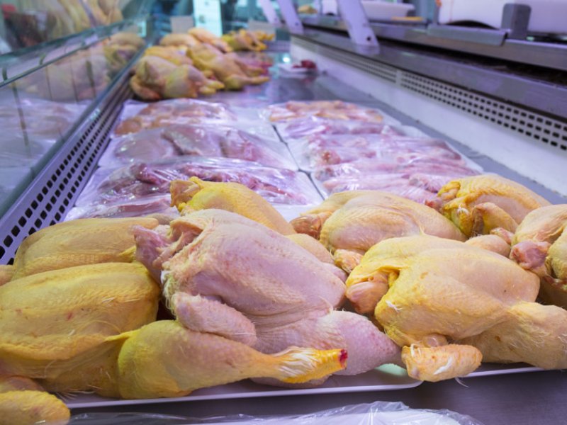 control salmonella no tifoidea en la carne de pollo
