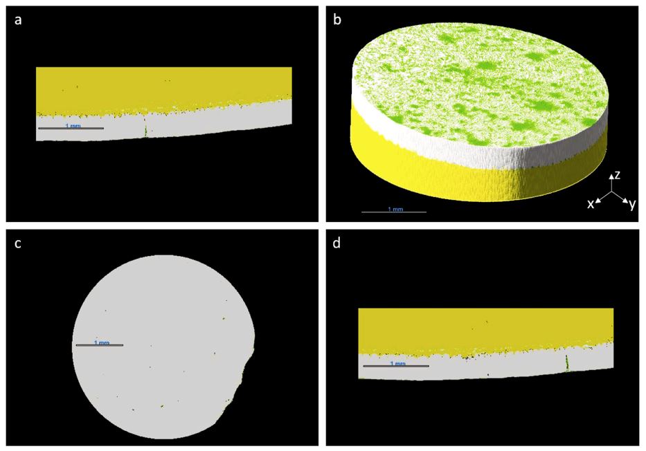 desinfeccion de huevos por electropulverizacion 4