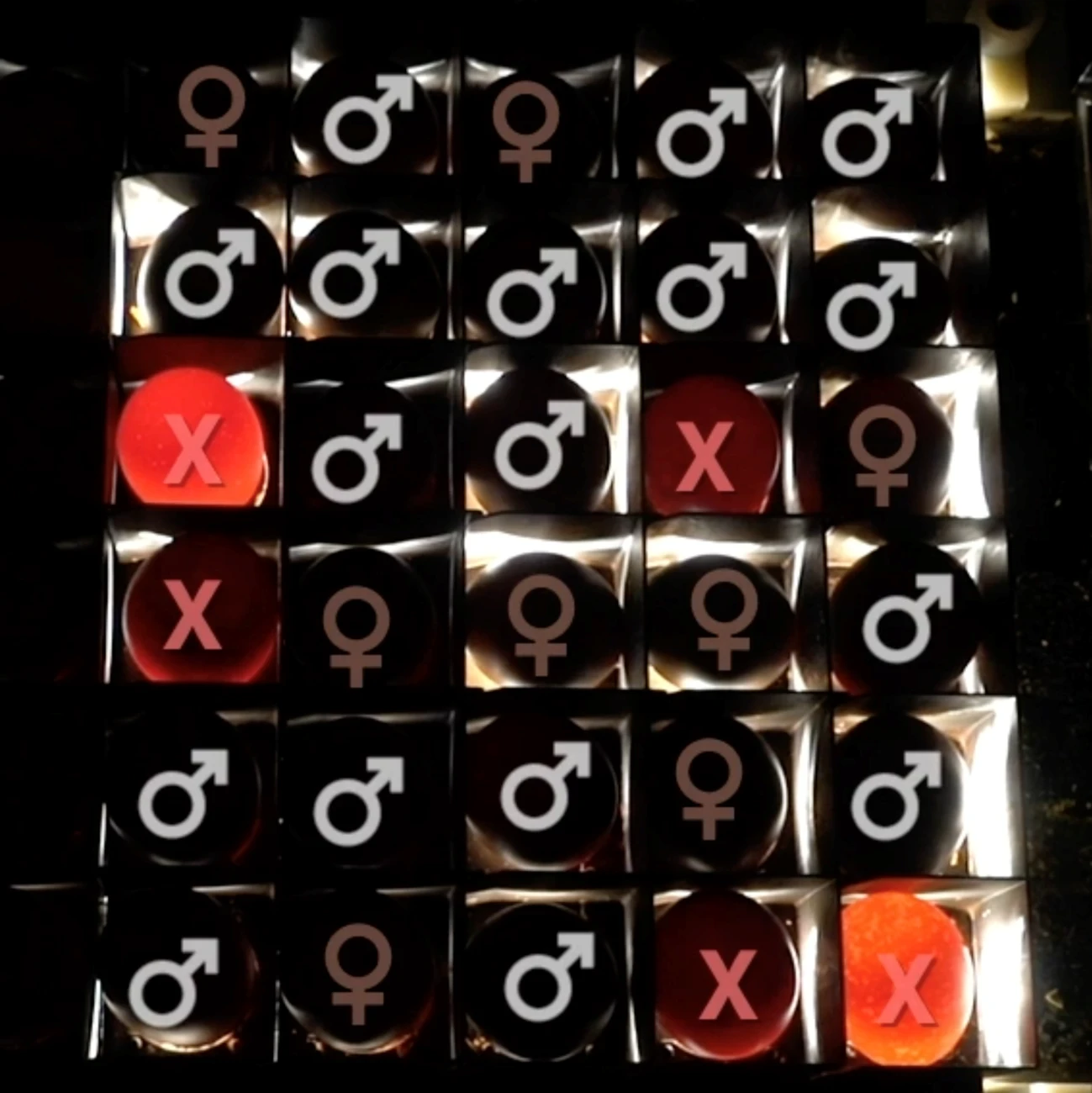 in-ovo-sexing-11