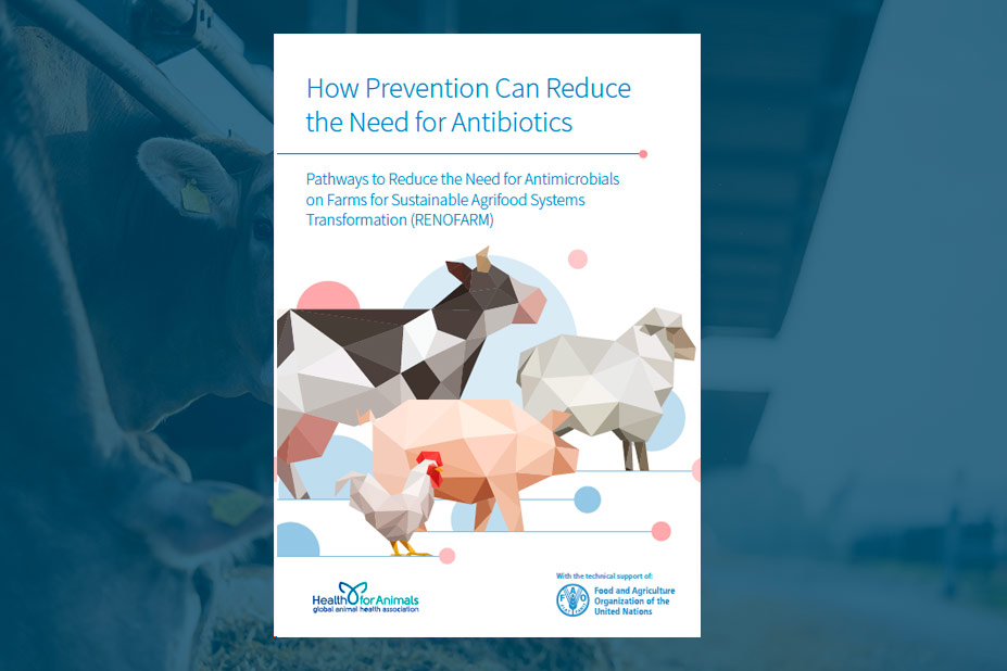 resistencias-antimicrobianas-1
