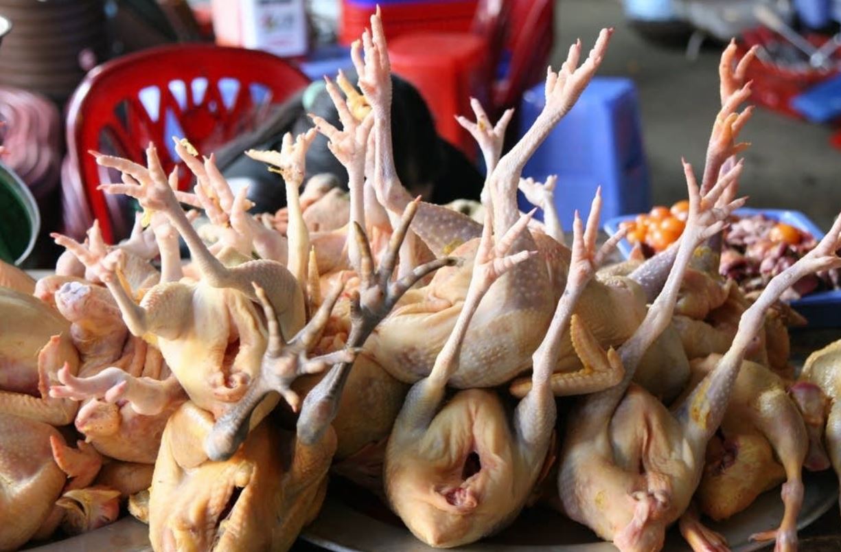 carne-de-pollo