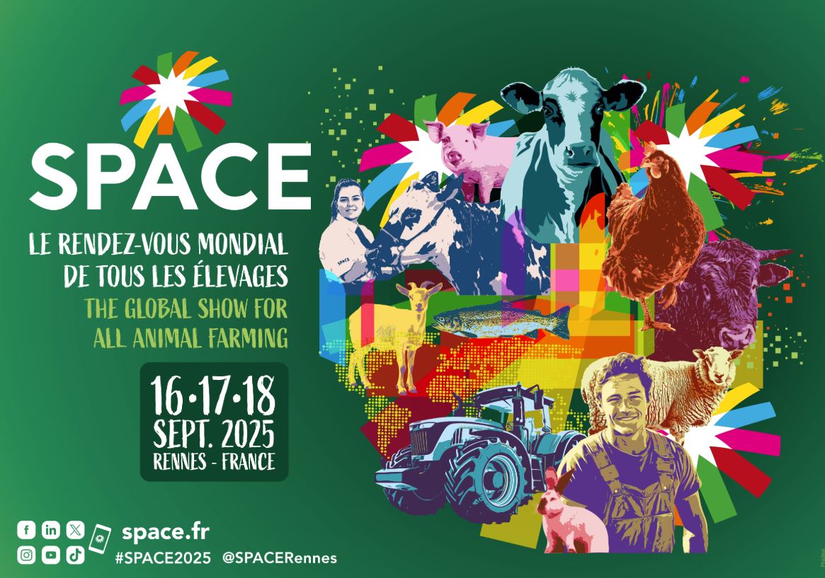 SPACE-2025-nueva-imagen-grafica-2