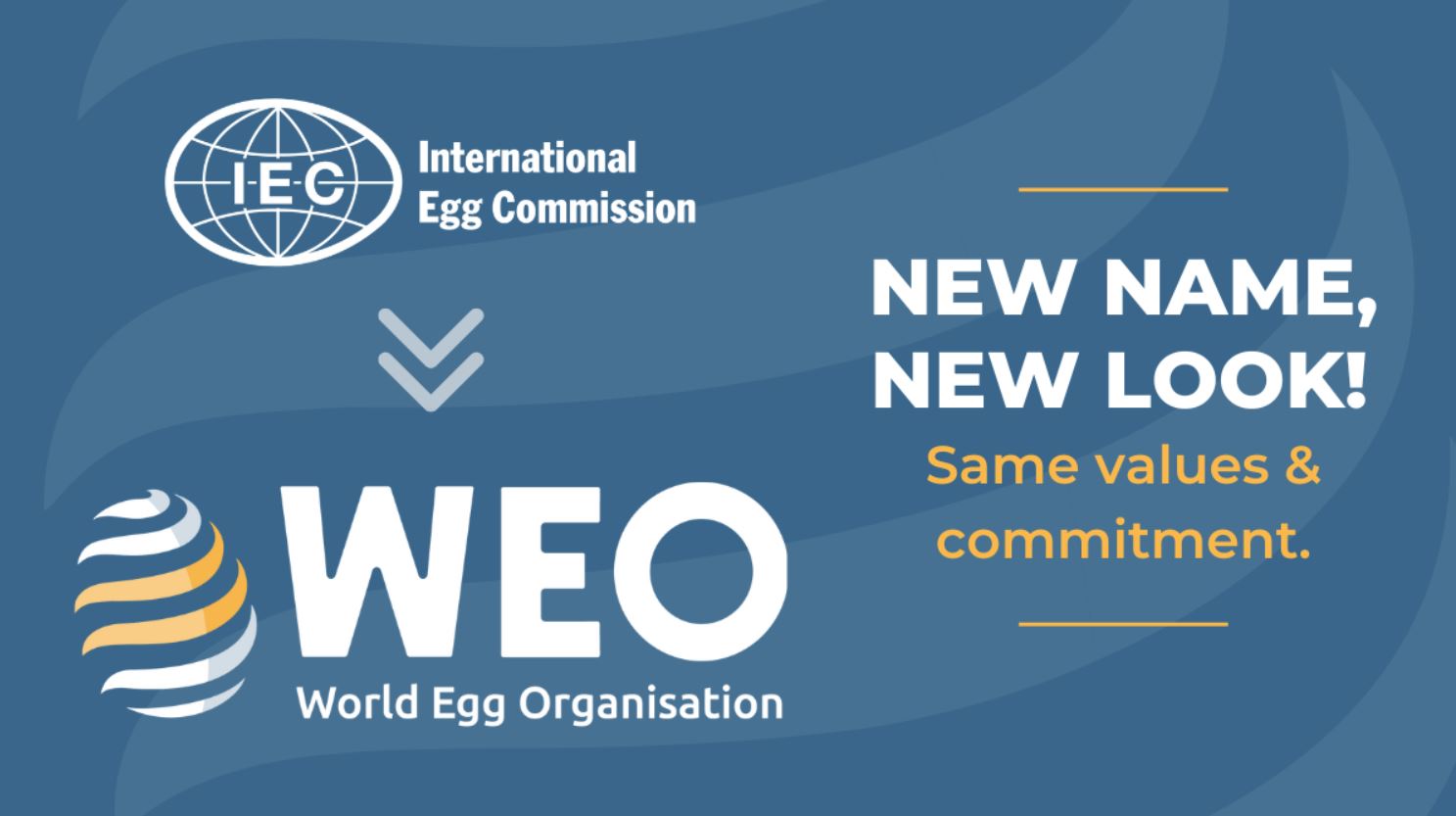 WEO-antigua-IEC-rebranding-20250109-ext