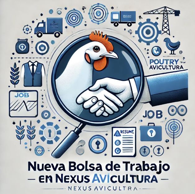 Bolsa-de-trabajo-nueva-seccion