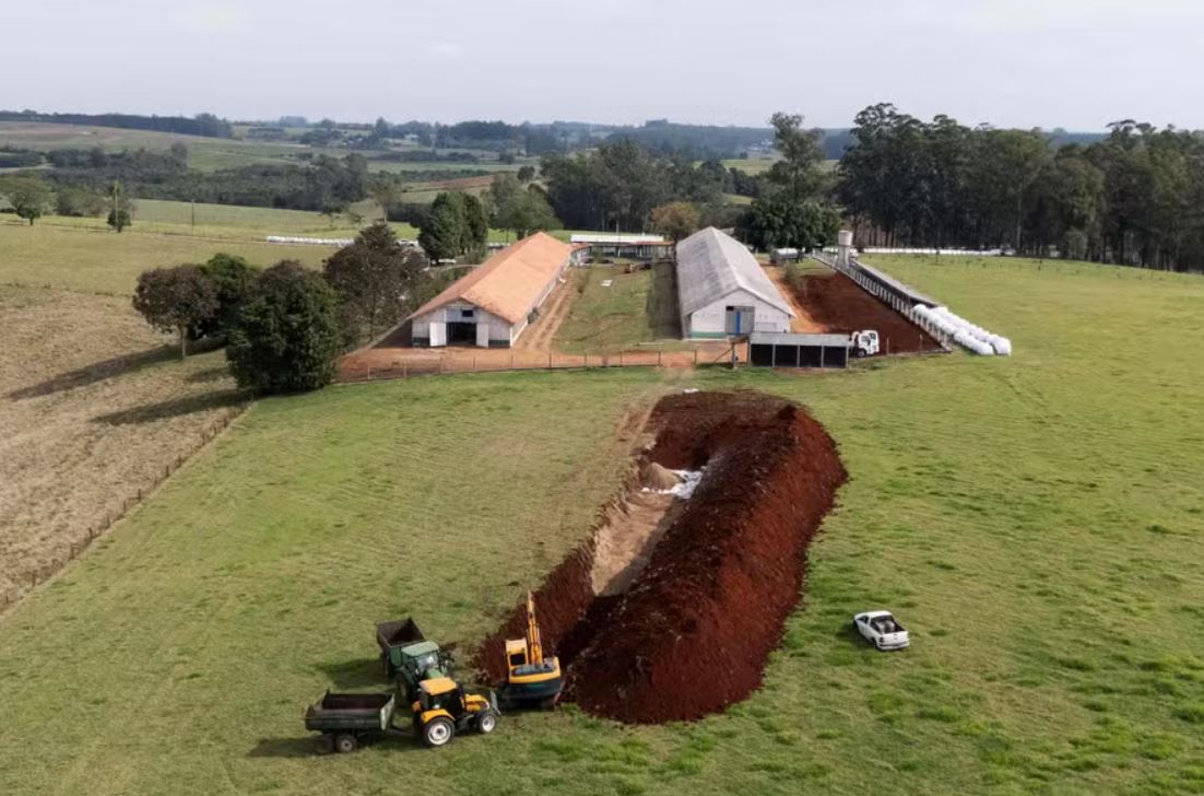 brasil-primer-foco-influenza-aviar-2-20250516 Una excavadora abre espacio para enterrar las aves sacrificadas en la granja de reproductoras para carne afectada de Montenegro, en Río Grande do Sul, debido al foco de gripe aviar identificado allí — Foto: Silvio Avila/AFP