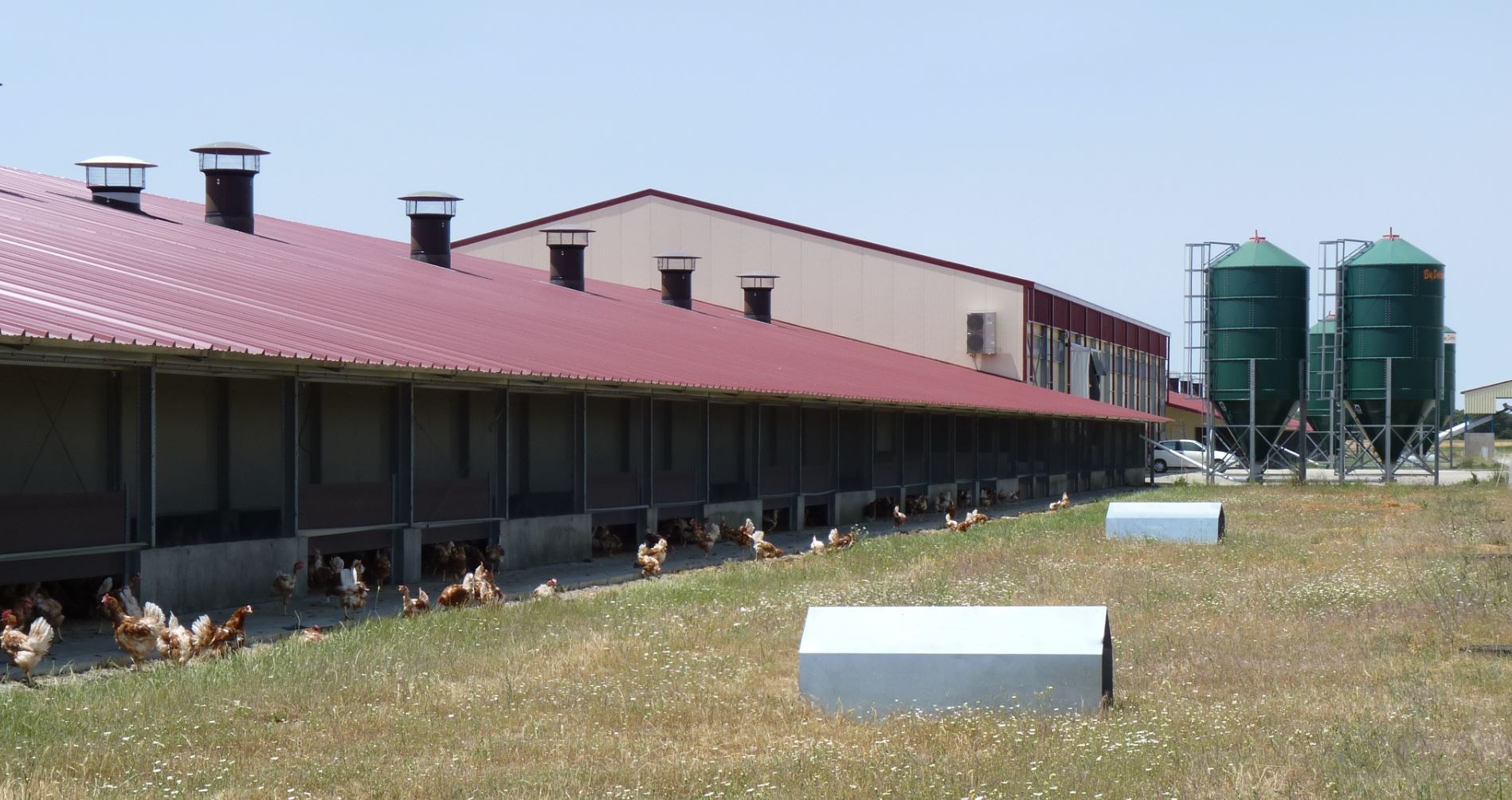 Huevos-Guillen-Instalaciones-2