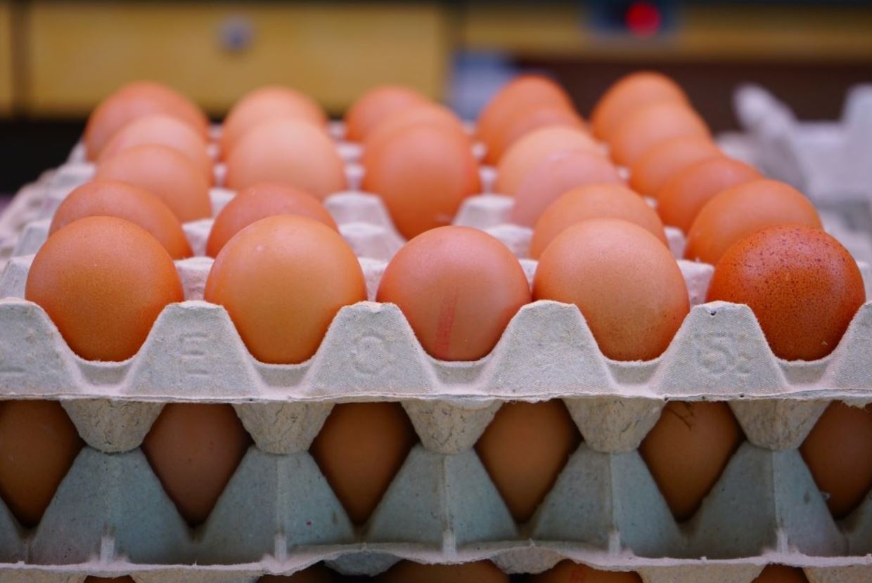 huevos-de-proximidad-1