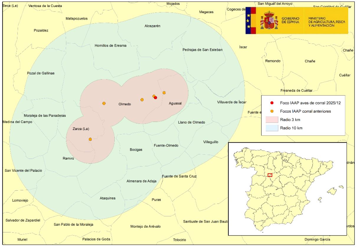 influenza-aviar-20251015-mapa-1-localizacion-casos-1 Localización del 12º brote de IAAP en aves de corral del 15 octubre 2025 en granja de 315.000 gallinas ponedoras (punto rojo) , en la provincia de Valladolid, detectado en la zona de vigilancia de los anteriores focos.