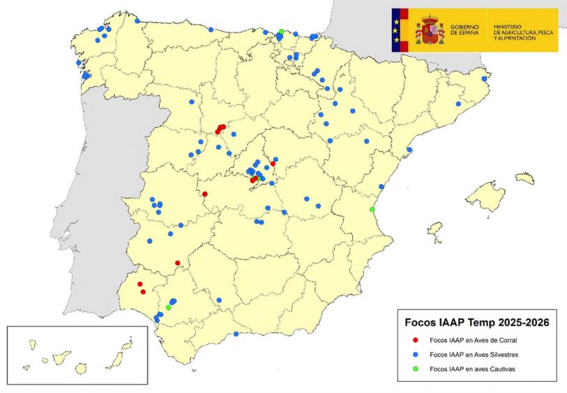 influenza-aviar-en-espana-actualizacion-20251117-Mapa2