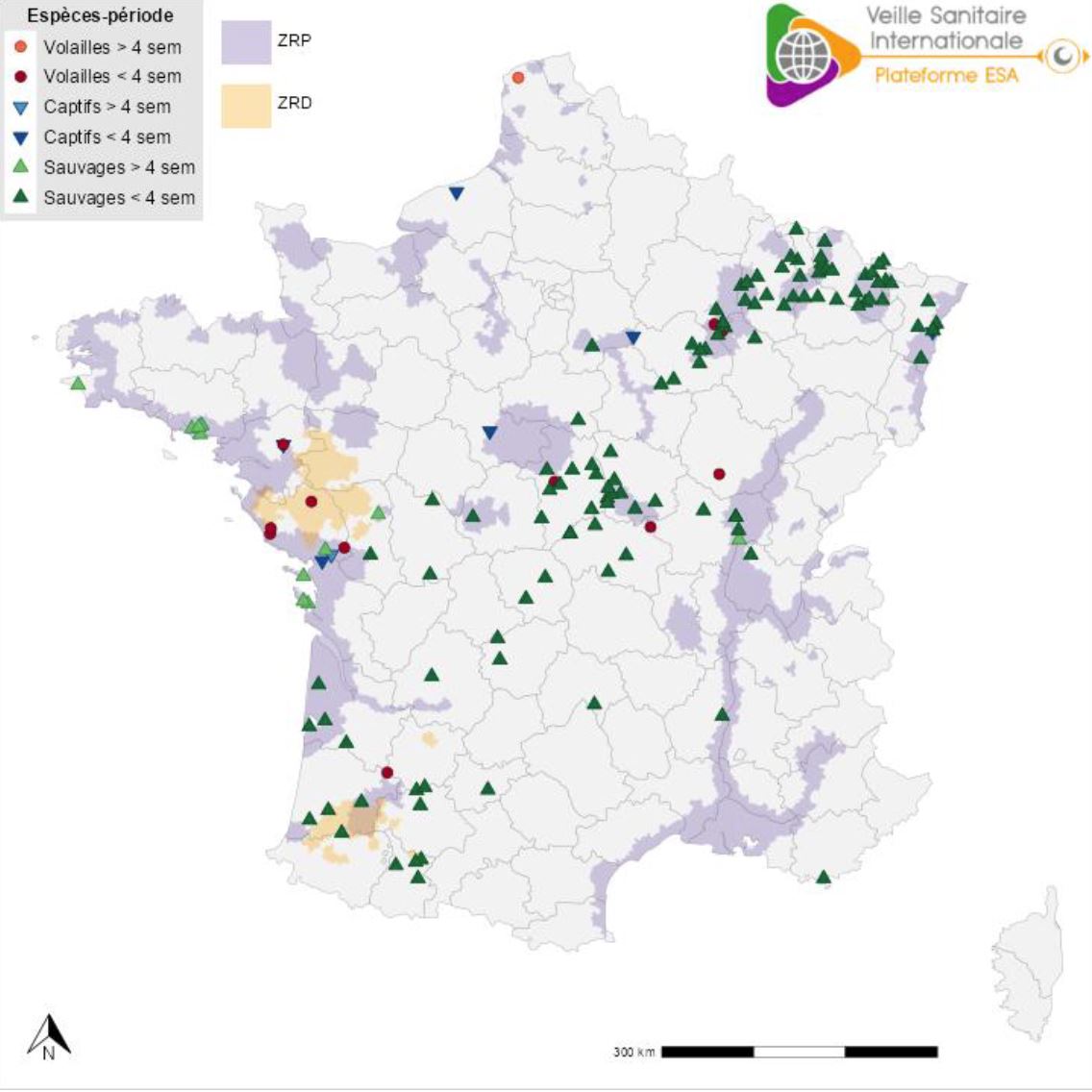 influenza-aviar-en-francia-20251025-big
