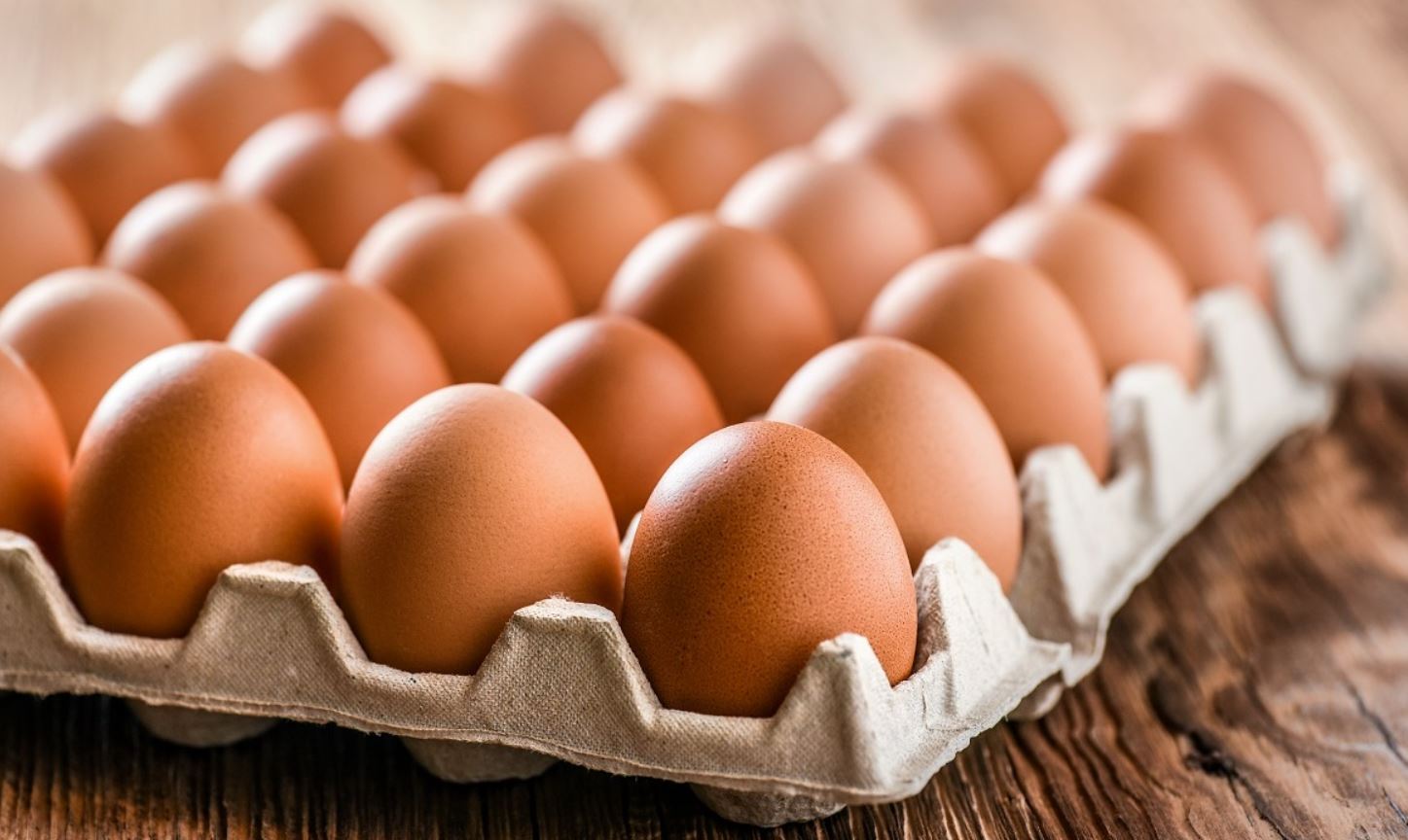 carton-de-huevos