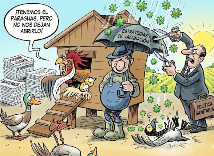 iNFLUENZA-aVIAR-LA-IMPORTANCIA-DE-REVISAR-LAS-POLITICAS-DE-VACUNACION-1-LOW