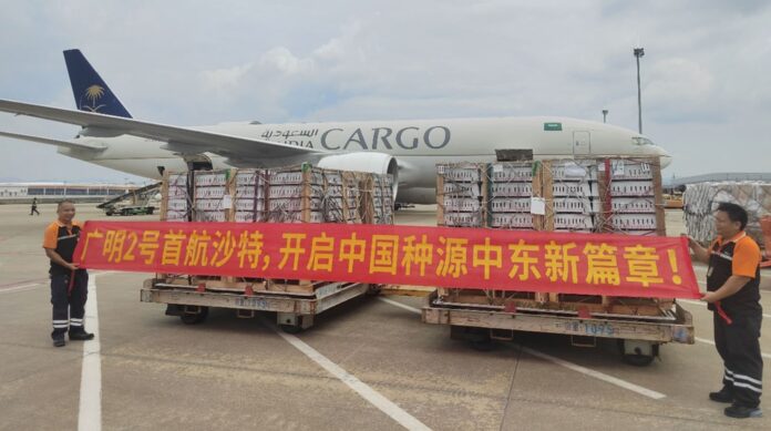 china-envio-genetica-aviar-a-arabia-saudi