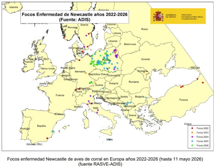Enfermedad-de-Newcastle-Europa-20260512-4