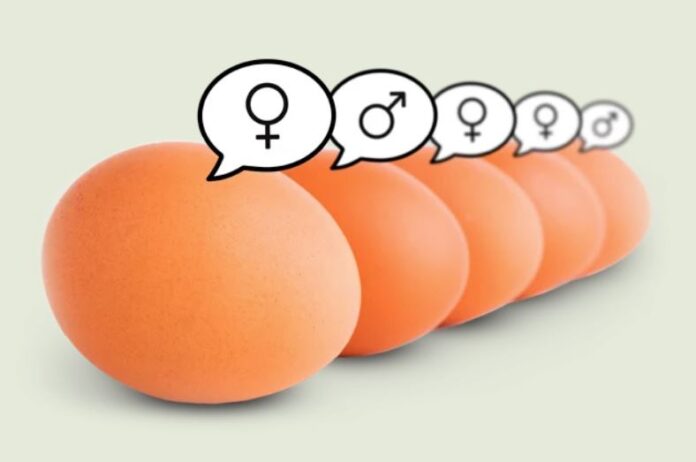 InOvoSexing